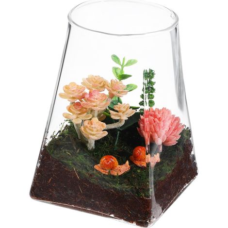 Vase Verre Terrarium Vide Pot pour Plantes Décoratif Et Fonctionnel pour Micro-Paysage Et Fleurs (1/5)
