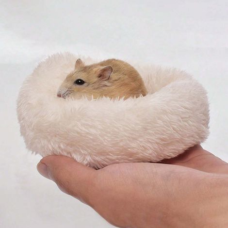 1pc Lit nid doux et chaud pour l'hiver, confortable, adapté pour hamsters et petits animaux (1/5)