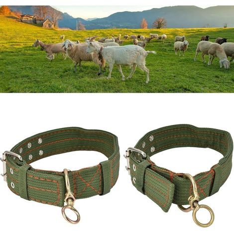 Lot de 2 Colliers Réglables Épais pour Chien, en Toile Fibre de Polyester, pour Cheval, Mouton, Bœuf, Chien, Chameau, Vert (1/5)