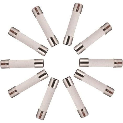 T30A250V 6x30 mm 30 A 250 V Fusibles en céramique à fusion lente 30 amp 250 Volt 0,24 x 1,18 pouces Fusible à retard de tube en céramique (1/3)