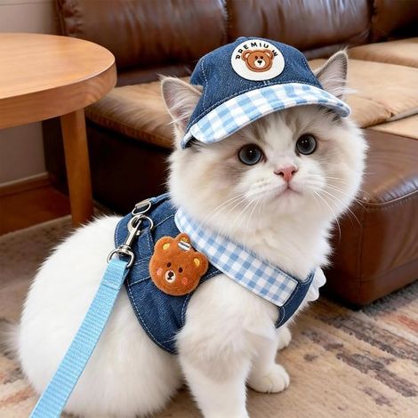 Lindo arnés para gatos con correa, arnés ajustable para paseos y viajes, adecuado para gatitos, gatos medianos y grandes, y perros (1/4)