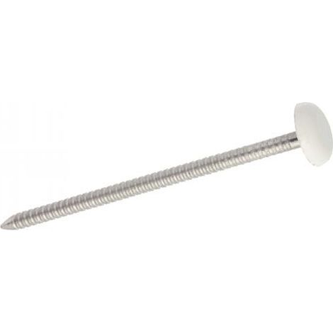 Acton – Clou à tête bombée 2,1x30 mm – Inox A4 – Boîte de 100 – Pour fixation dans bois dur et teck