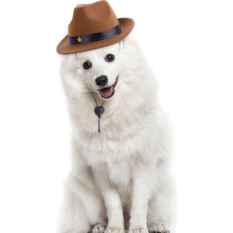 Chapeau De Cowboy Pour Chien Et Chat - Motif Étoile À Cinq Branches - Accessoire Réglable Pour Fête Et Photo - Taille Unique (1/5)