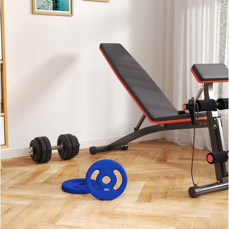 2 x 5 kg Hantelscheiben für 2,5-cm-Hantelstange, mit Griffen, blau HAVRYA (1/4)