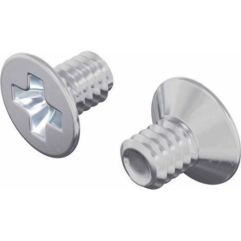 Tornillos de Cabeza Avellanada 2 pcs Plateado M4 x 6 mm Acero vidaXL