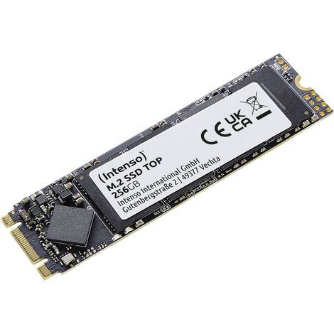 Intenso Top M.2 256 GB Serial ATA III (1/3)