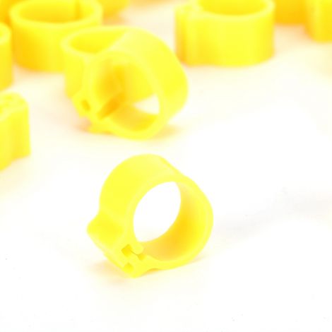 200 unmarkierte 10-mm-Beinringe für Tauben, für Geflügel, Kennzeichnungsetiketten, Vogelbedarf, gelb (1/5)