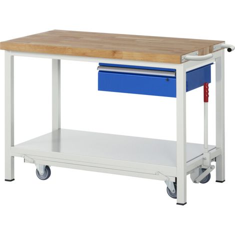 Etabli Rau avec châssis abaissable modèle 8001 L 1250 x P 700 x H 880mm