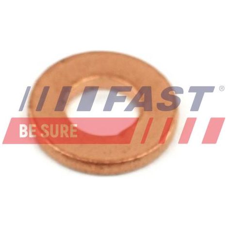 FT49848 rondella iniettore rapido