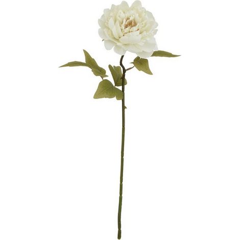 The Natural Garden Collection Peony (Single Stem Flower) - Plastic - Height 52 cm - White
