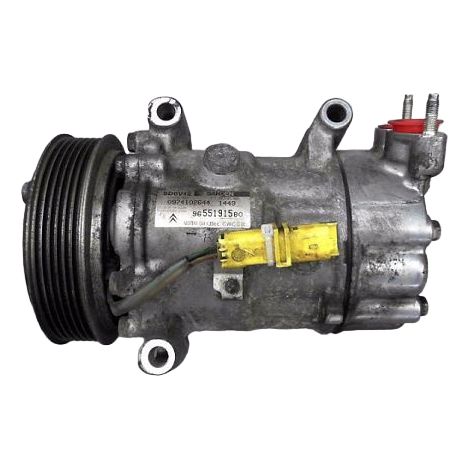 [PRODUIT D'OCCASION] Compresseur Air Conditionne PEUGEOT 206 98-09 ♻️ Ref Oe. 9800822280 - Garantie à vie (1/4)