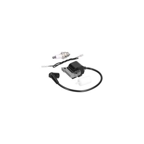Kit de Filtre à Air et Bougie d'Allumage pour Tondeuse 240R 245R 245RX 250R - (1/5)