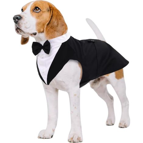 Costume Smoking Chien Kuoser + Bandana Noir M, Fête Formelle, Nœud Papillon, Petit Chien Mariage Anniversaire (1/5)