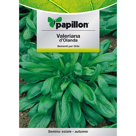 SEMI ORTO "VALERIANA D'OLANDA" - CF. BUSTA 4 GR.