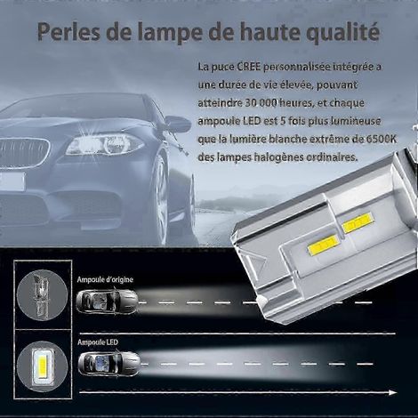 Ampoules LED H4 pour phares, blanc 6500K, kit de conversion feux de route/croisement pour voiture et camion 12V-24V (2 pièces)