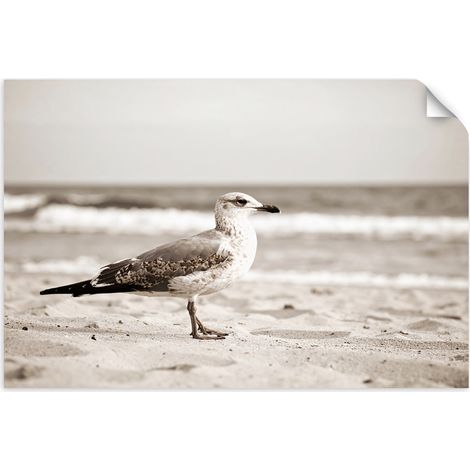 Poster autocollant Mouette oiseau mer plage nature 100x70 (1/3)