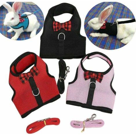 QORVA-Harnais pour petits animaux Laisses Hamster Lapin Chat Furets Écureuil Rat Gilet Vêtements (1/4)