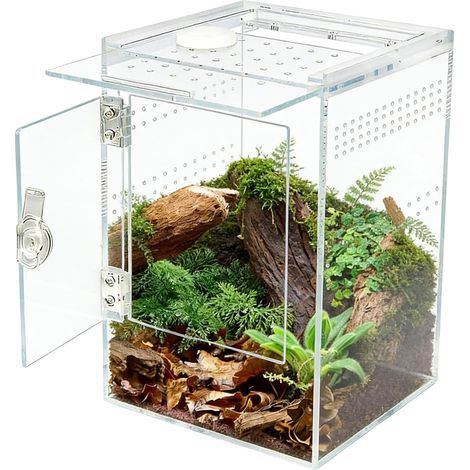 Terrarium für Springspinnen, transparentes Acrylglas, Seitentür, Belüftung, 15 x 15 x 23 cm, Reptil (1/5)