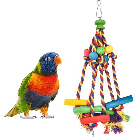 Jouet de Morsure de Cage de Perroquet Coloré, Oiseau Perroquet Jouets en Matériau Plus Sûr, Jouet Oiseau en Bois Faciles à Utiliser, Jouets de Perroquets pour Les Petits et Moyens Perroquet et Oiseaux (1/5)