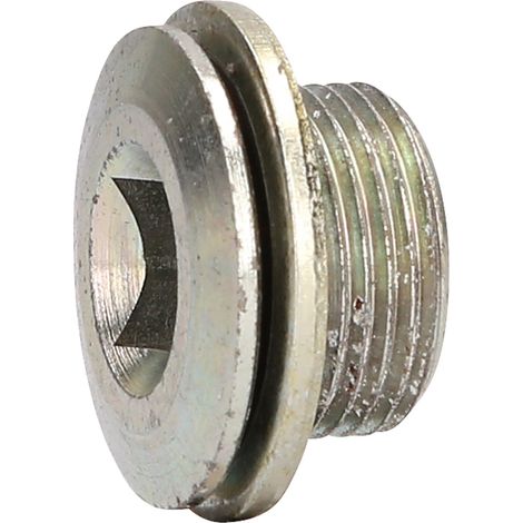 KS-Tools 430.0616 Ölablassschraube M22 x 1,5 x 17 mm für DAF (1/4)