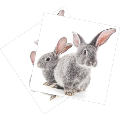 Lot de 2 feuilles d autocollants muraux lapin de Pâques pour (1/5)