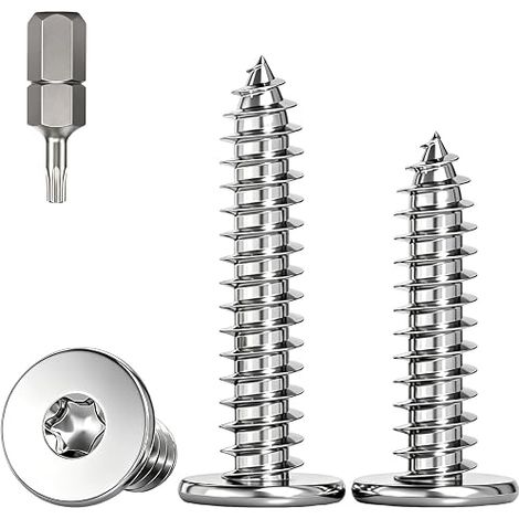 Vis Autotaraudeuse Torx Tête Plate M4x40mm pour Bois (1/5)