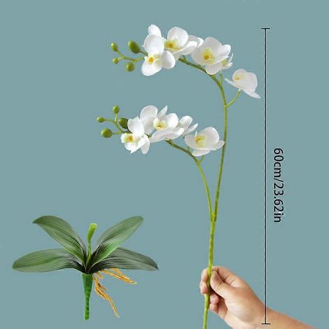 Lot de 2 orchidées artificielles Phalaenopsis papillon, au toucher agréable, avec feuilles réalistes.blanc (1/5)