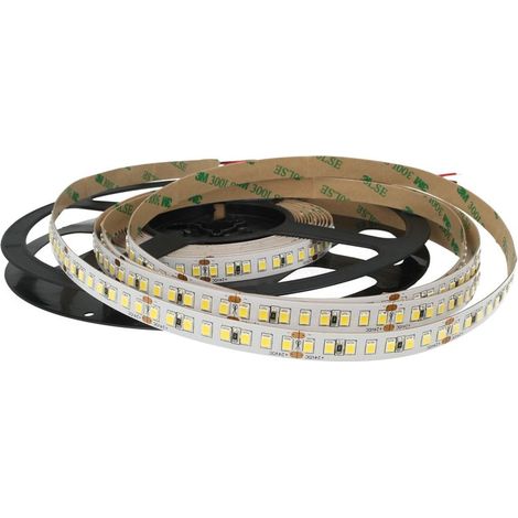 24V Bobina Striscia LED 12W/M 165LM/W 2000LM/M 3 Step Bianco Freddo 6000K 800 SMD 2835 5 Metri IP20