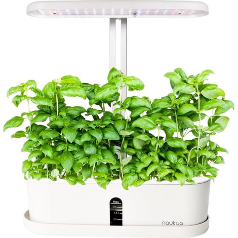 Potager d'intérieur Hydroponique - Pret a Pousser Smart Garden - Kit de culture de jardin intelligent avec éclairage LED, minuterie automatique et pompe à eau - Capacité pour 10 pousses simultanées