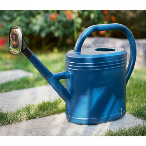 Arrosoir 3,8L Plastique Vert Bec Long Tête d'arrosage Amovible Design Ergonomique pour Intérieur Extérieur Jardin Plantes