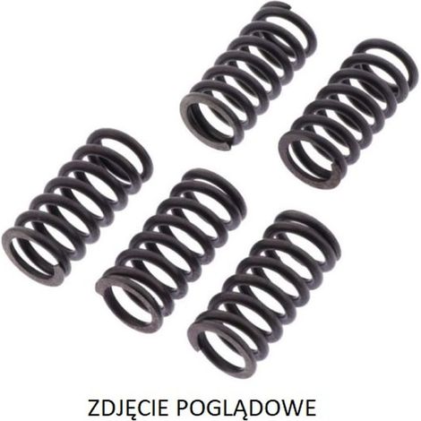 Molle frizione TRW ZF per Ducati 749S/R '03-'07, 916 ST4 '99-'03, 944 ST2 '97-'03, 996 ST4 '01-'03, 999 biposto '02-'06, Monster 1000 '02-'08, Multistrada/SS Supersport 1000 '03-'06
