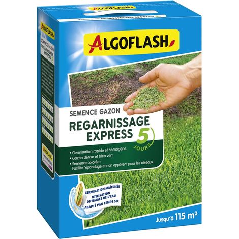 Semences Gazon Regarnissage Express 5 jours, 2,5 kg (1/3)
