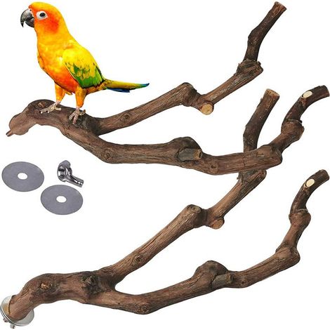 Jouet pour oiseau, Plate-Forme De Perchoir en Bois De Pommier Naturel, Supports De Branche, Accessoires De Cage à Oiseaux