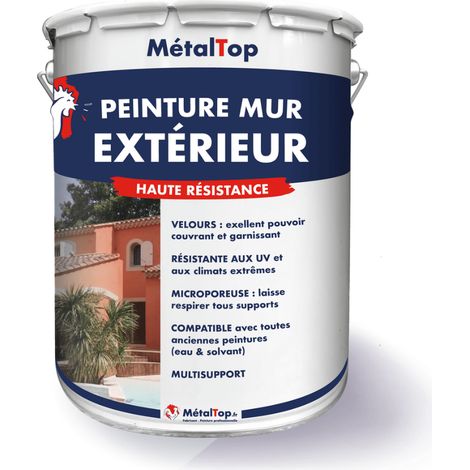 Peinture Mur Exterieur - Brun vert - RAL 8000 - 5 L - Métaltop