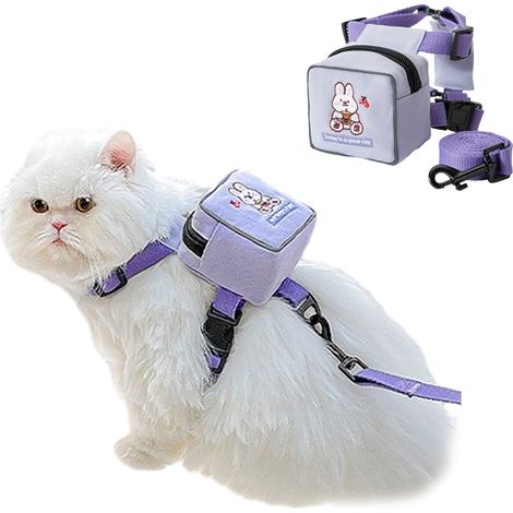 Sac à dos réglable pour chien de compagnie, motif dessin animé mignon, avec laisse et laisse (violet)