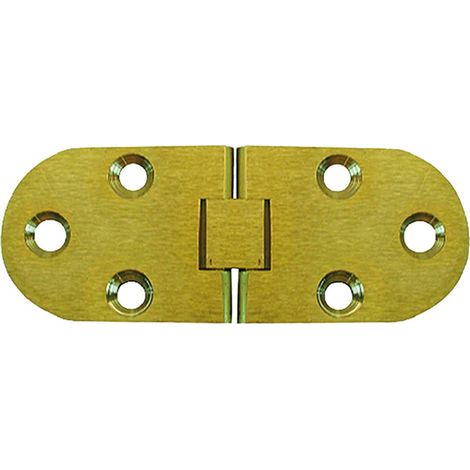 1PZ CERNIERA A BISCOTTO con fermo mm 30x80