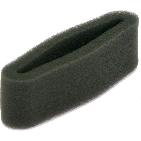 Filtro aria motore decespugliatore BC GGP 23220009 123220009/0 310274