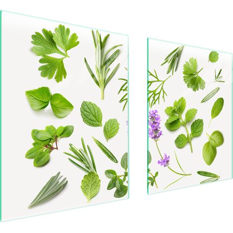 PLACA PROTECTORA DE VIDRIO PARA ESTUFA 85x52 PLANTAS (1/5)