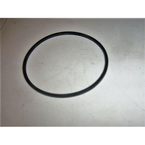 GUARNIZIONE VASCHETTA CARBURATORE BRIGGS&STRATTON 694920 ORIGINALE (1/2)