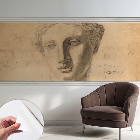 Carta da parati autoadesiva - impermeabile - murale da parete - decorazione murale - Ritratto femminile 250x104 cm (1/5)