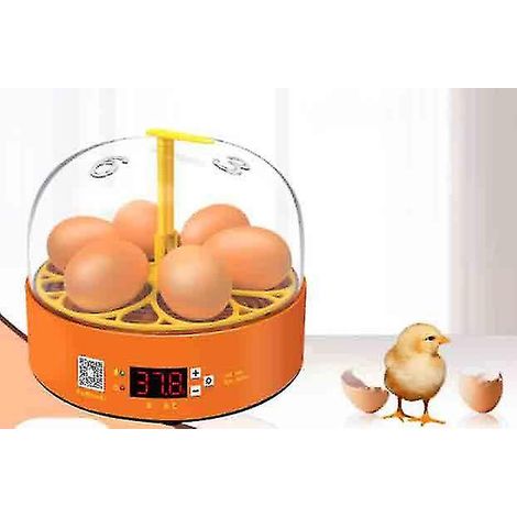 Incubateur automatique, capacité 6 œufs, pour œufs de volaille, avec retournement automatique, pour l'incubation à domicile et l'élevage contrôlé de volailles.-AquaForge