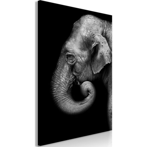 Tableau Imprimé "Portrait of Elephant" 40 x 60 cm (1/4)