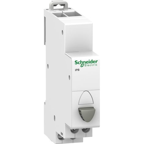 Schneider Electric BP DRUCKTASTER GRAU 1S (A9E18032)