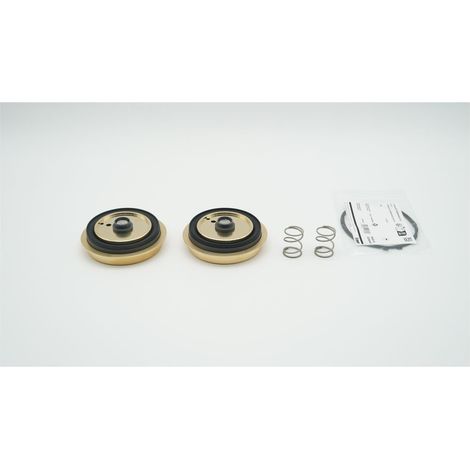 BWT Hauptmembrane für Rondomat Duo 6 und 10, 2er-Set, 2-060568