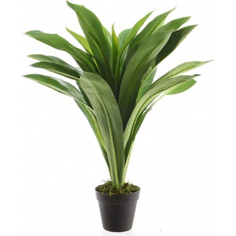 Pianta dracaena con vaso 80cm