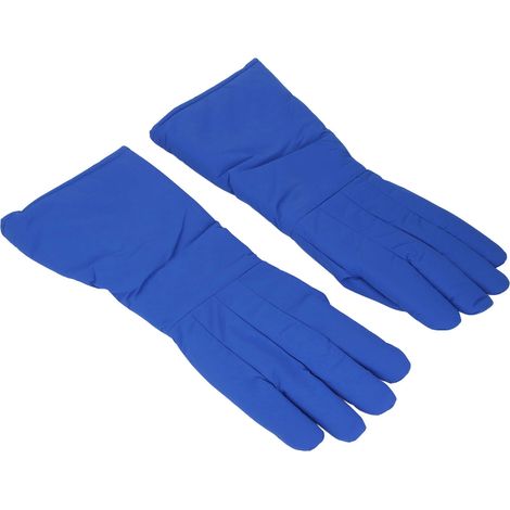 2 Gants isolation froid -160°C cuir 48 cm manipulation azote liquide glace sèche labo industrie LNG (1/5)
