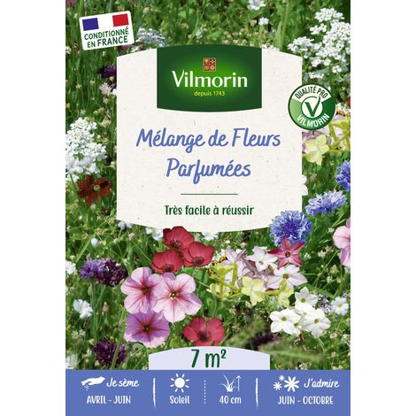Fleurs Parfumées - 7 m² - Mélange de fleurs Vilmorin (1/3)