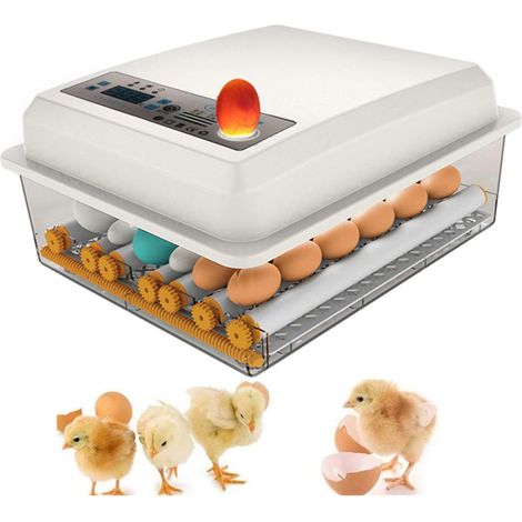 Incubateur Oeufs Couveuses Automatique 16 œufs Retournement Automatique, Contrôle De La Température Réglable avec LED Lumière D'oeuf Intégré pour Poulet, Canard, Oie, Pigeon (1/5)