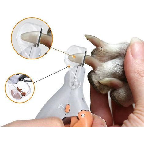 Professionelle Krallenschere für Haustiere, Krallenschere für Hunde und Katzen, Krallenschere mit LED-Licht (1/4)