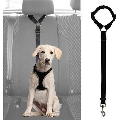 Ceinture de sécurité pour animaux - Harnais - Noir - Ajustable - Nylon - Pour chiens et chats (1/4)